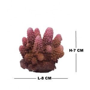 Artificial Coral
