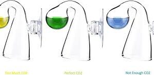 images 1