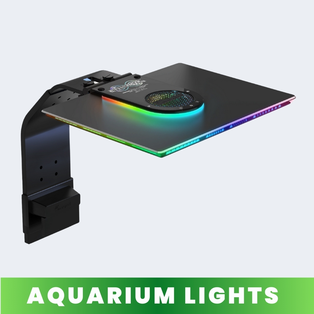 Aquarium Lights