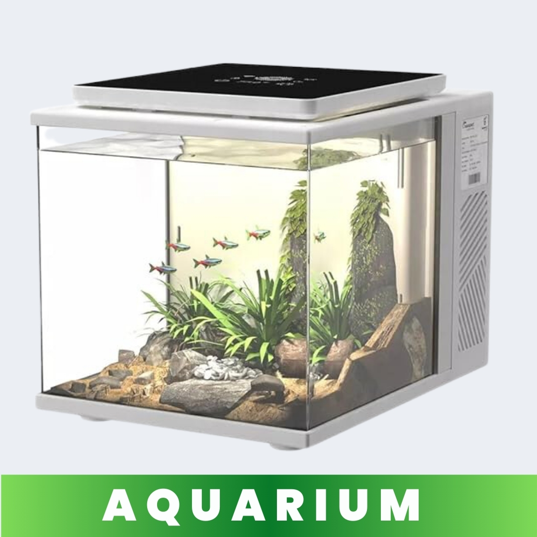 Fish Tank