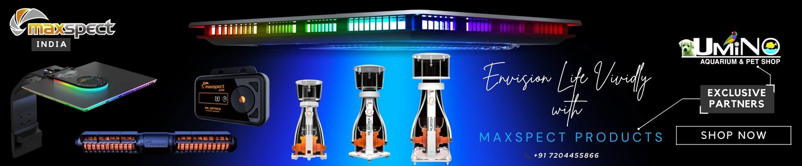 Maxspect Umino Partners