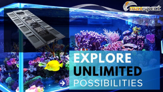 Maxspect product banner