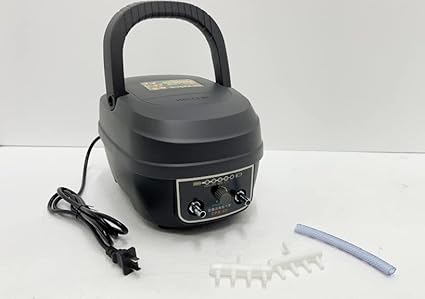 IMG 1